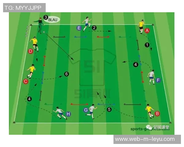 足球肋部的战术解析与技术运用探讨如何提升球队整体表现
